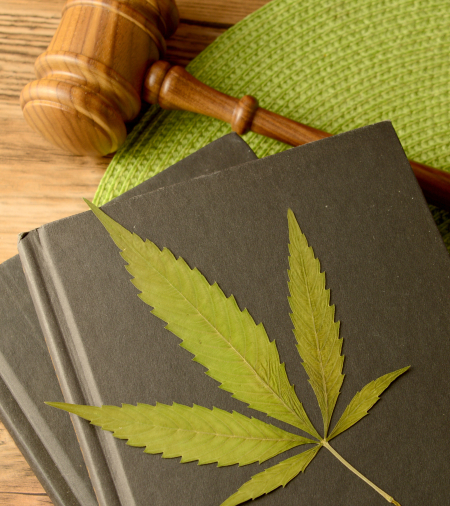 Cannabis Compliance and Licensing